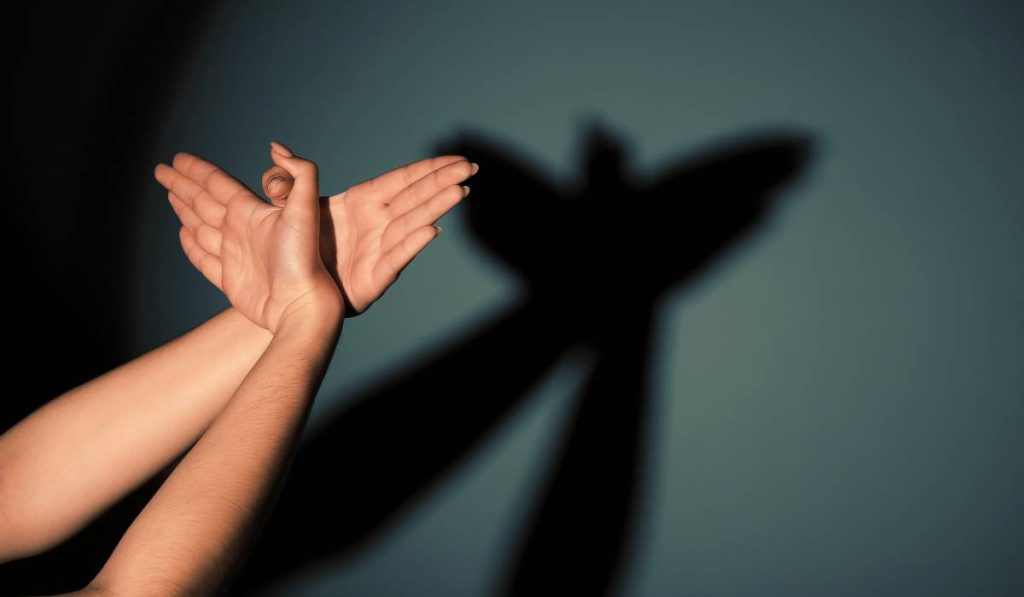 A person making a flying bird's shadow on the wall.