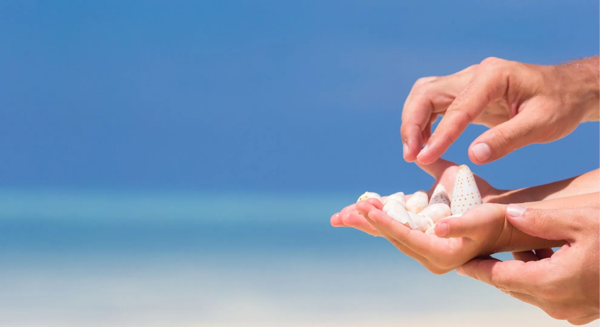 holding shells in palm