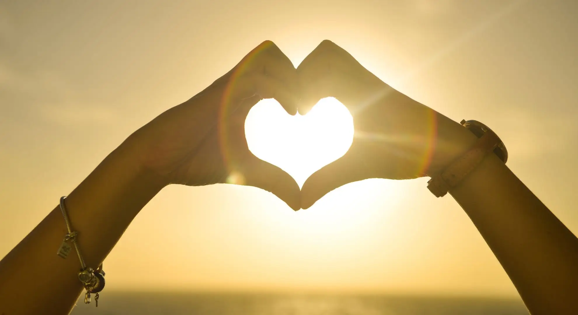 heart made with palms