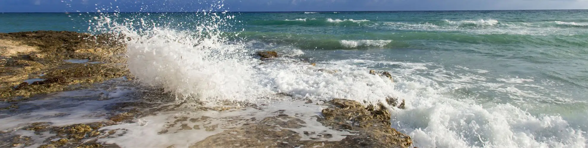 waves crashing against the shore