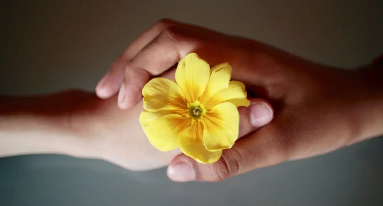 two hands holding an yellow flower