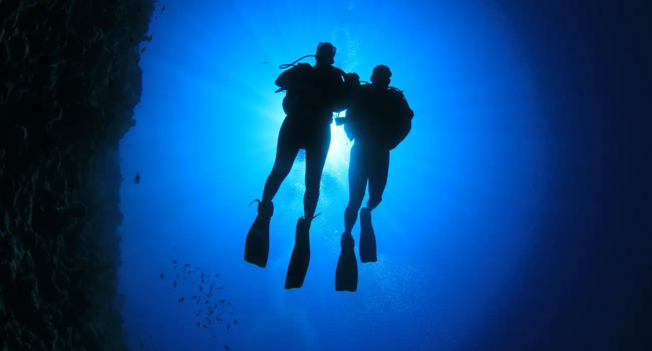 silhouette of a couple diving together