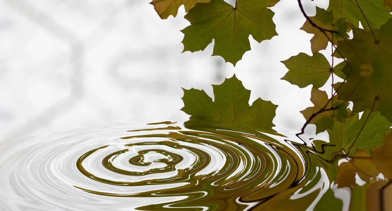 a water droplet creating a ripple effect